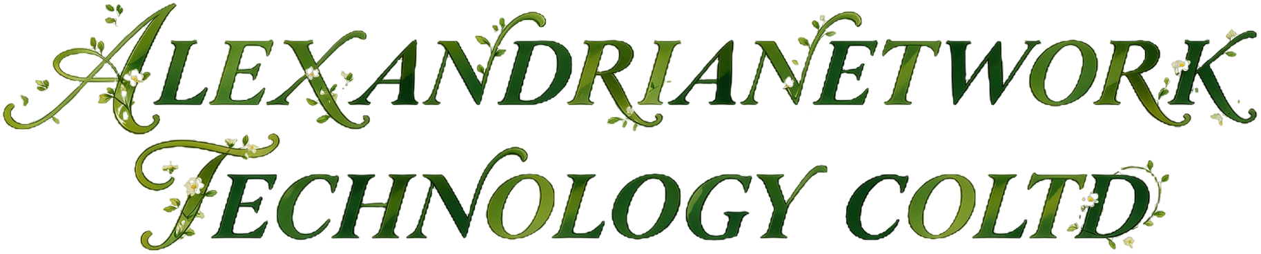 ALEXANDRIANETWORK TECHNOLOGY COLTD